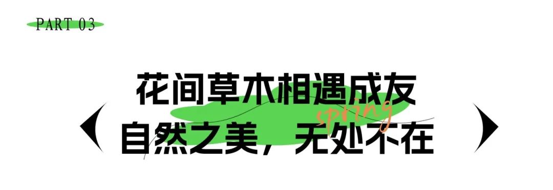 微信圖片3.jpg